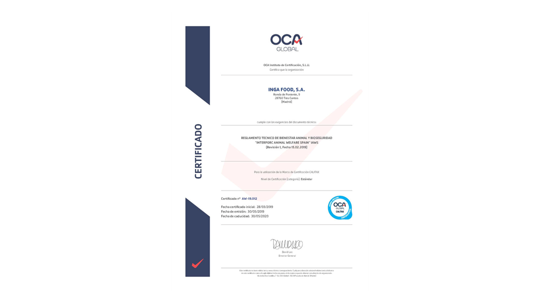 gcse certificate template